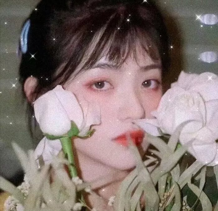 陌生人的慰籍